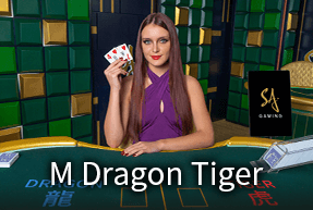 M Dragon Tiger